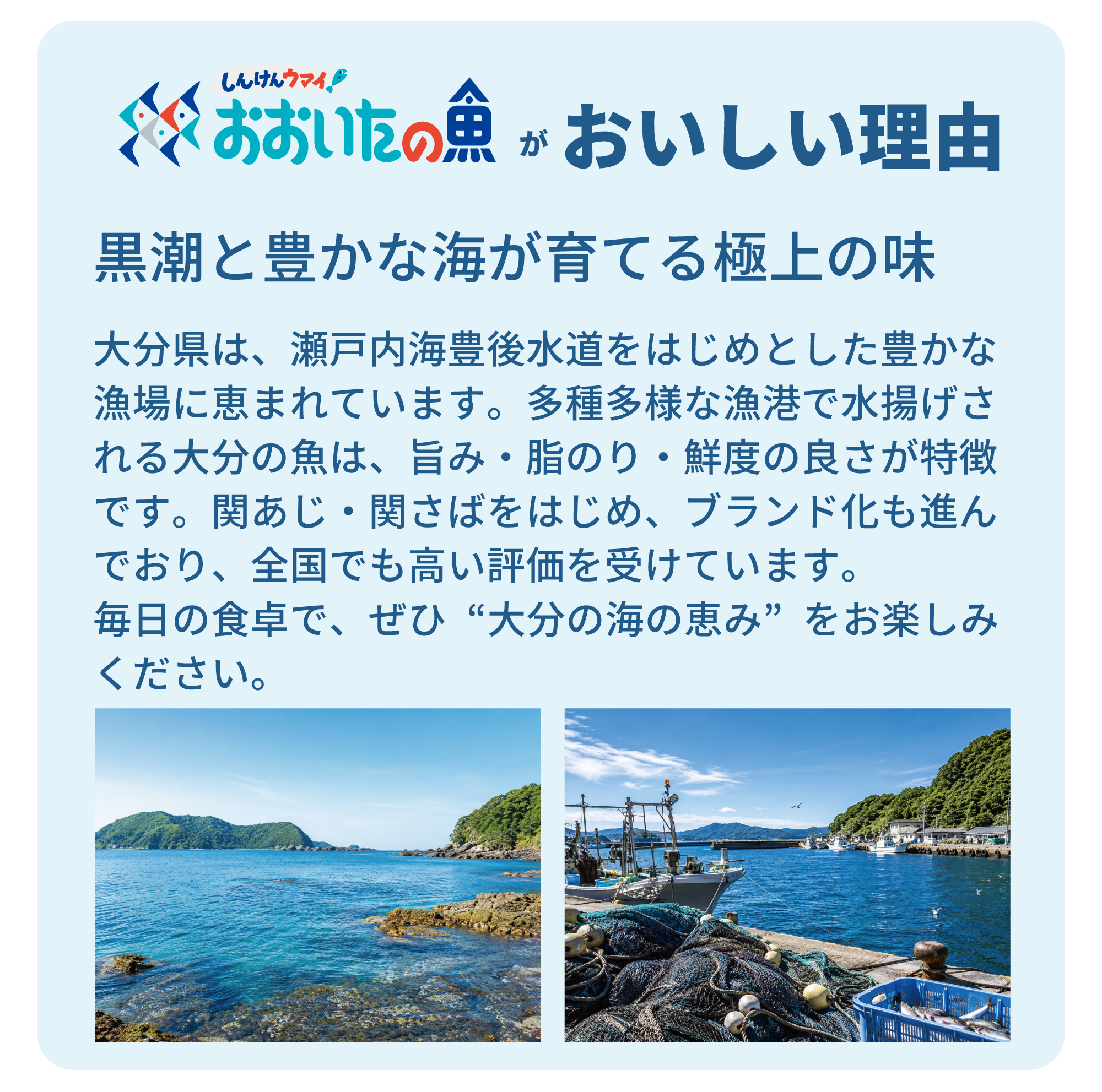 おおいたの魚がおいしい理由　黒潮を豊かな海が育てる極上の味